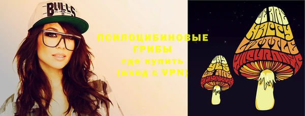 мдпв Дмитров