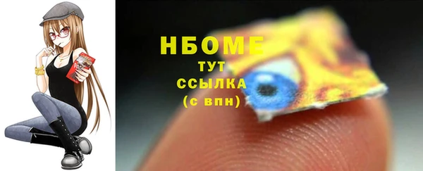 гашик Гусь-Хрустальный