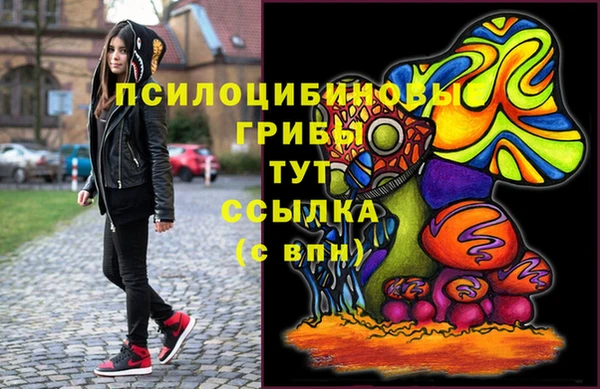 гашик Гусь-Хрустальный