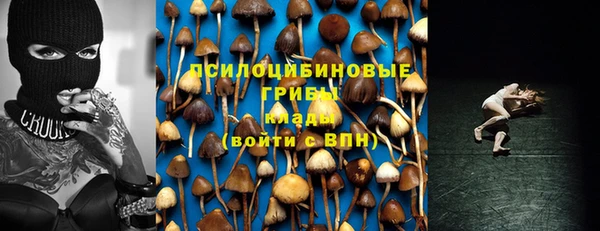мдпв Дмитров