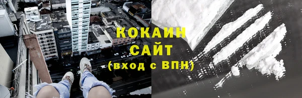меф Дмитриев