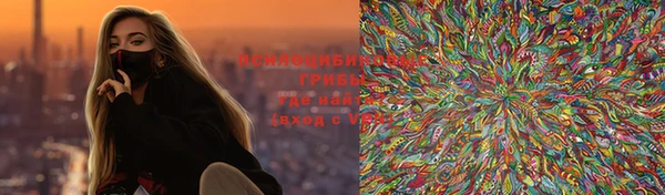 меф Дмитриев
